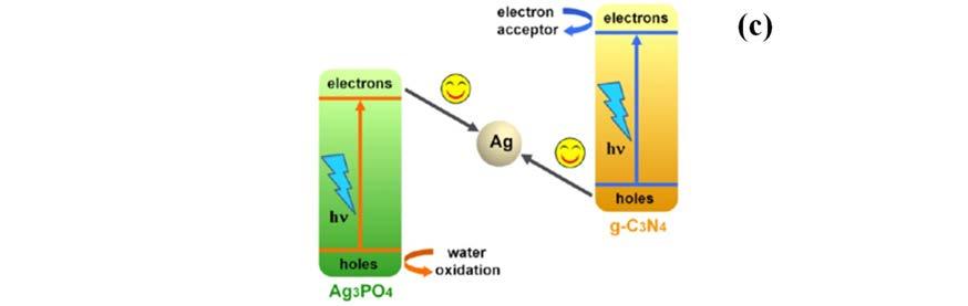 solar driven Z scheme Ag3PO4/Ag/g C3N4 photocatalytic system [40]. Simultaneously, the holes in the VB of g C3N4 can move to Ag and combine with the electrons from Ag3PO4.
