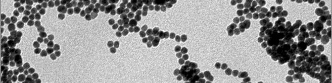 S14 TEM image of gold nanoparticles