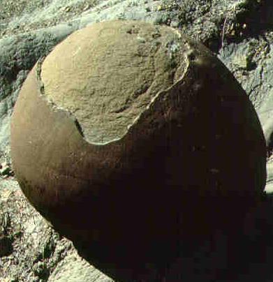 Example of Mechanical Weathering: Rock expands when the pressure of