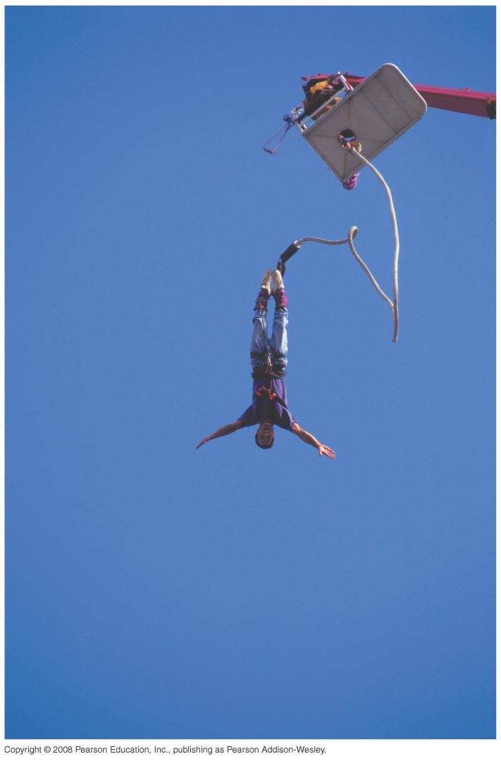 Bungee jumping: two potential energies in play!