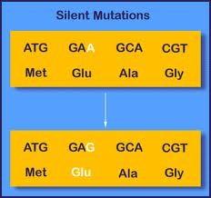 Mutations Silent vs.