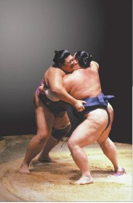 Newton s Third Law of Motion The harder one sumo wrestler pushes, the harder the