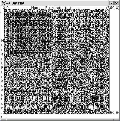 8 Algorithms in Bioinf. I, WS 03/4, Uni Tübingen, Daniel Huson, WS 2003/4 2.