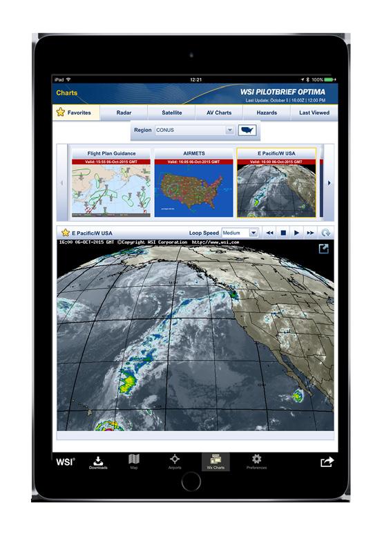 The ipad application gives pilots the option of accessing critical weather information on the ground and enroute in online and offline modes.