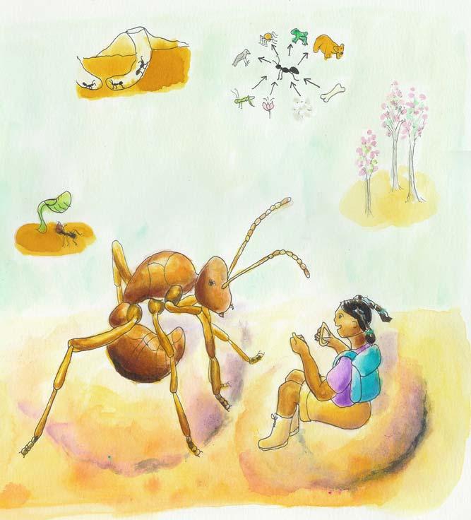 Mica: Well it is an odd way of greeting new friends. Where am I? Amy Ant: You are in my nest. I brought you here to learn about ants. Ants are more ecologically important than you think.