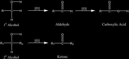 14.9 Reactions of Alcohols Mild Oxidation reagents include (Oxidize 1º & 2º alcohols) Potassium Permanganate (KMnO 4 ) Potassium Dichromate (K 2 Cr 2 O 7 ) Chromic Acid (H 2 CrO 4 ) The net product