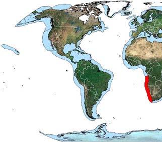 African-wide projects Large Marine Ecosystems Five Large Marine Ecosystems (GEF) Four LME Projects, 3 currently