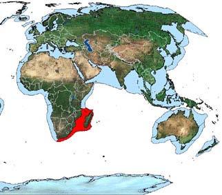 African-wide projects Large Marine Ecosystems Five Large Marine Ecosystems (GEF) Four LME Projects, 3