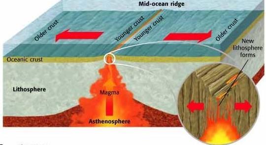 As the seafloor spreads apart at a mid-ocean ridge, new seafloor is created.