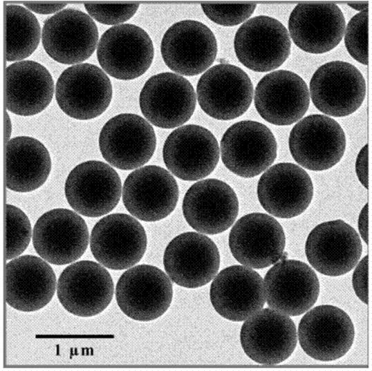 Fig. 9.9: TEM of LbL assembled polystyrene-capped Au nanoparticles.