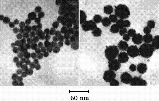 Fig. 9.6: TEM images of Au nanoparticles (left) coated with Pt (right) in the ratio 1:2.
