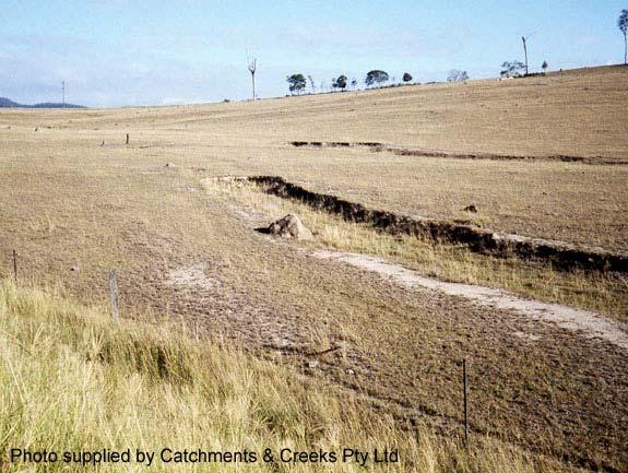It has long been observed that changes in vegetation cover, including de-forestation as a result of land clearing and bushfires, can result in significant changes to the annual flow of stormwater