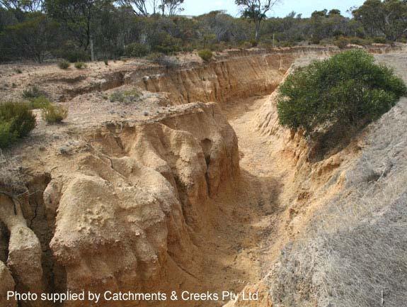 (c) Exposure of weak subsoil Gully erosion is often triggered by the exposure of a weak subsoil layer beneath a streambed.
