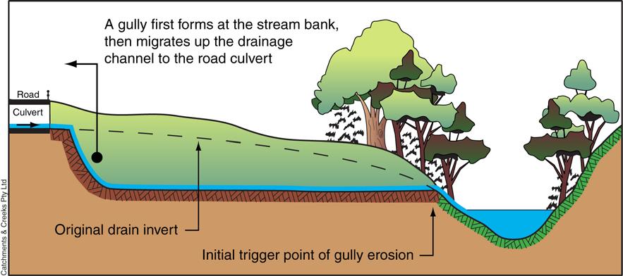Figure 4 Example of gully erosion resulting from an increase in the concentration of flows entering a watercourse downstream of a road culvert (as per Photo