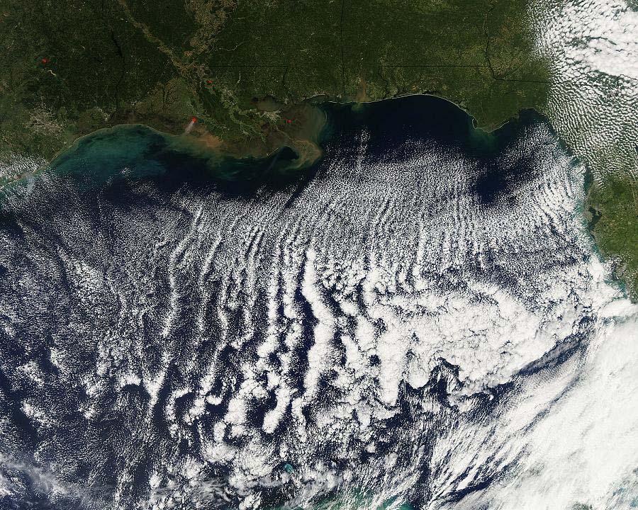 Cloud Streets photographed over the Gulf of Mexico on October 18, 2009.
