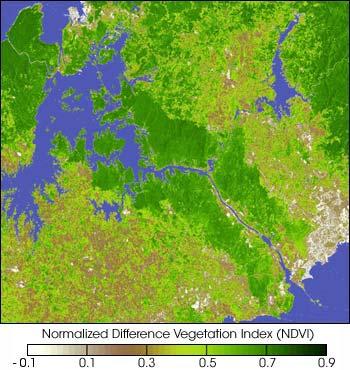 Normalized Difference Vegetation Index (NDVI) Brown areas indicate areas of low vegetation while green areas indicate high vegetation Vegetation density can be obtained by the strong