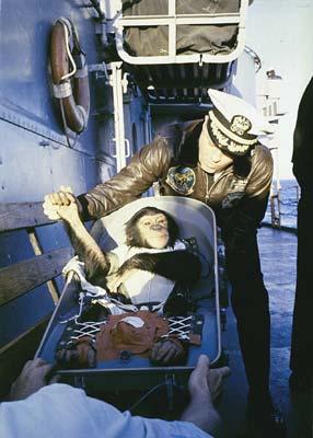 Ham in Space Ham the Chimpanzee, first US citizen in space January 31, 1961 Ham being greeted by a Naval officer.