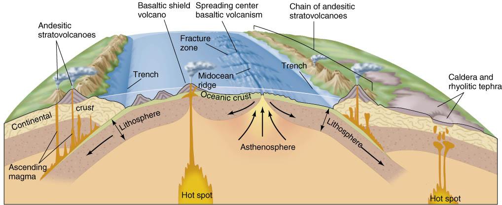 !! Volcanic activity is concentrated along plate margins. Andesitic volcanoes are found at subduction margins, and basaltic volcanoes are concentrated along spreading margins.