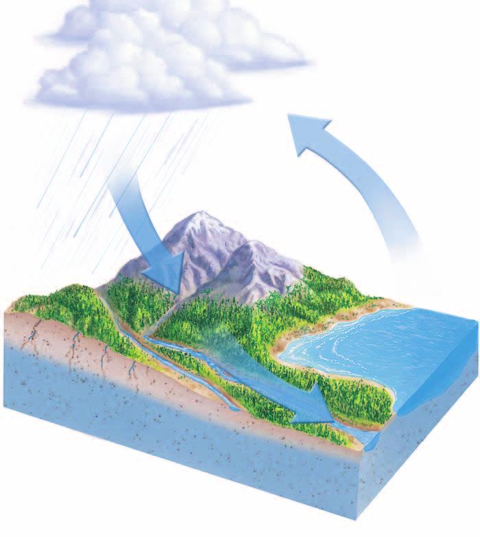 The Water Cycle Have you ever wondered where the water in rivers comes from? This water is part of the water cycle.