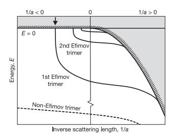 Figure 4: From [8]. Efimov three-body states appearance as a function of inverse scattering length and energy.