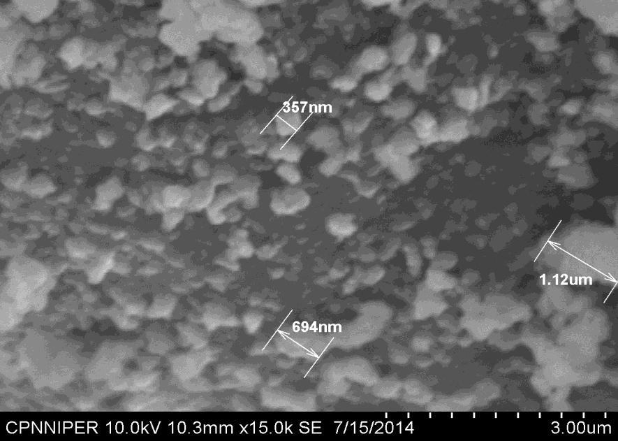 The surface of Zr-TiO 2 /CaO nanoparticles was unevenly distributed on the surface of CaO.