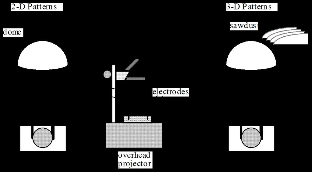 ACTIVITY 1 Activities Title: Electric Field Patterns Apparatus: Van de Graaff generator, petri dish with oil and seeds, set of shaped electrodes overhead projector, some sawdust Instructions 2-D