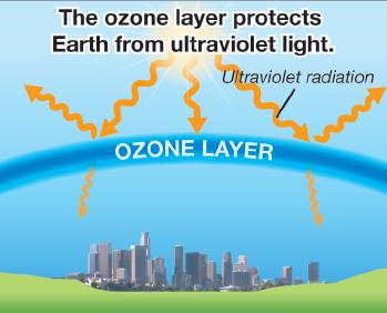 Chlorofluorocarbons and the ozone layer The ozone layer absorbs the