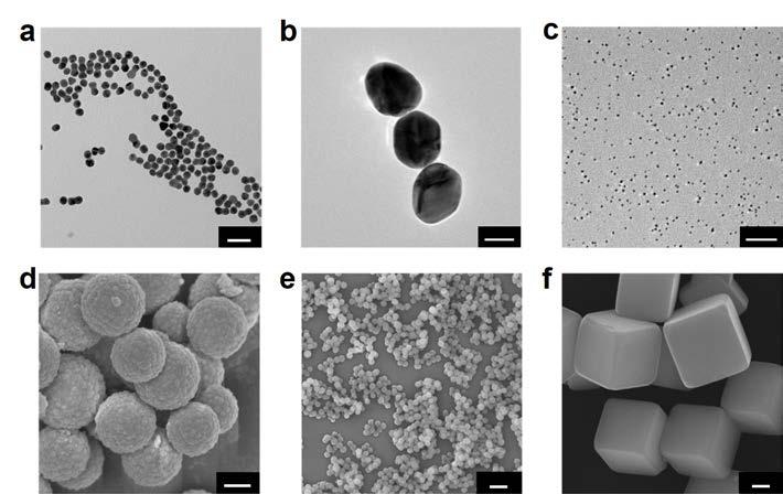 Supplementary Figure 1. SEM and TEM images of the metal nanoparticles (MNPs) and metal oxide templates. (a) 13 nm Au, (b) 60 nm Au, (c) 3.