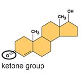Slide 56 / 97 Aldehydes The functional group is -CHO with a C=O bond drop 'e' of the parent alkane and add 'nal' HCHO - (1