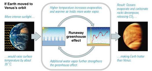 Runaway Greenhouse Effect Runaway greenhouse effect would account for why Venus has so little water What have we learned? What is Venus like today?