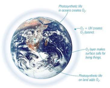 break up O 2 molecules, allowing ozone (O 3 ) to form Without plants to release O 2, there would be no
