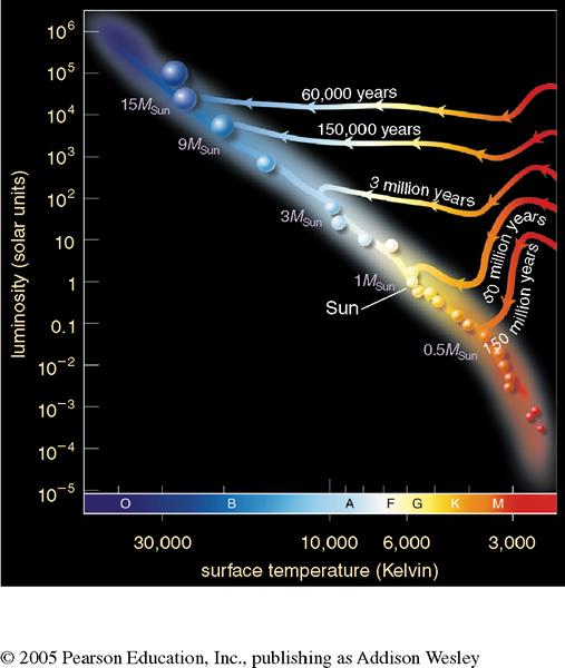 Arrival on the Main Sequence The mass of the protostar determines: how long the protostellar phase will last