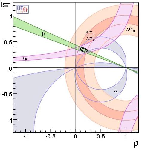 physics Beyond the Standard Model (BSM) appearing in loops.
