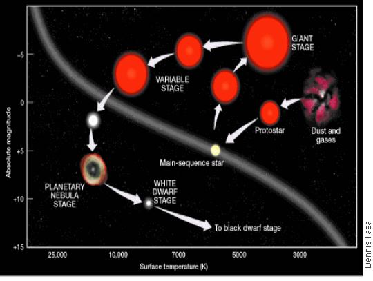 Main-Sequence Stage From this point in the evolution of a main-sequence star until its death, the internal gas pressure struggles to offset the unyielding force of gravity.