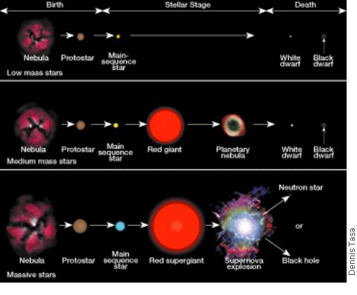 Death of Low-Mass Stars As shown in Figure 11A, stars less than one half the mass of the sun consume their fuel at a fairly slow rate.