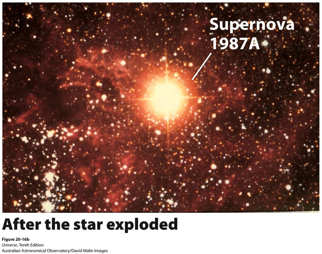 The progenitor star was a blue supergiant (a 20Mⵙ ).
