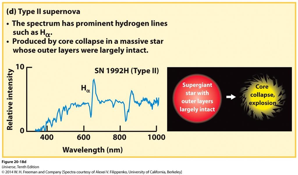 Type II Supernova A type II supernova have prominent hydrogen lines such as the Hα line.