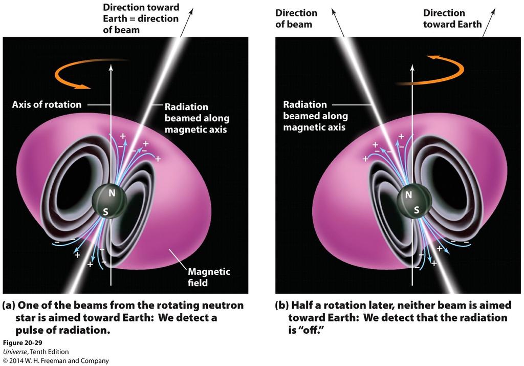 Neutron Stars and Pulsars Because they are so compact, the magnetic field of a neutron star is extremely strong.