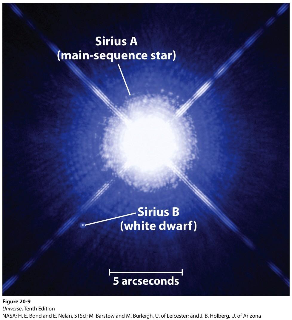 White Dwarf Star The burnt out core becomes a white dwarf. The core is not large enough to ignite any further nuclear reactions.