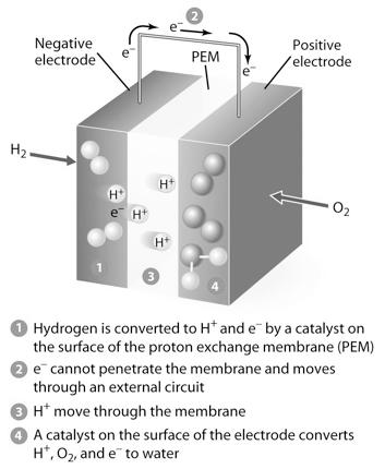 H 2 (g) + 1/2 O 2 (g) H 2 O (g) E cell = 1.2 V Flow Batteries (Fuel Cells) Where doses the The Hydrogen Oxygen Fuel Cell H 2 (g) come from?