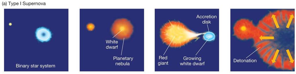 of s Like s of Other a Sun-like Carbon-Detonation A white dwarf can accumulate too much mass from its binary companion. If the white dwarf s mass exceeds 1.