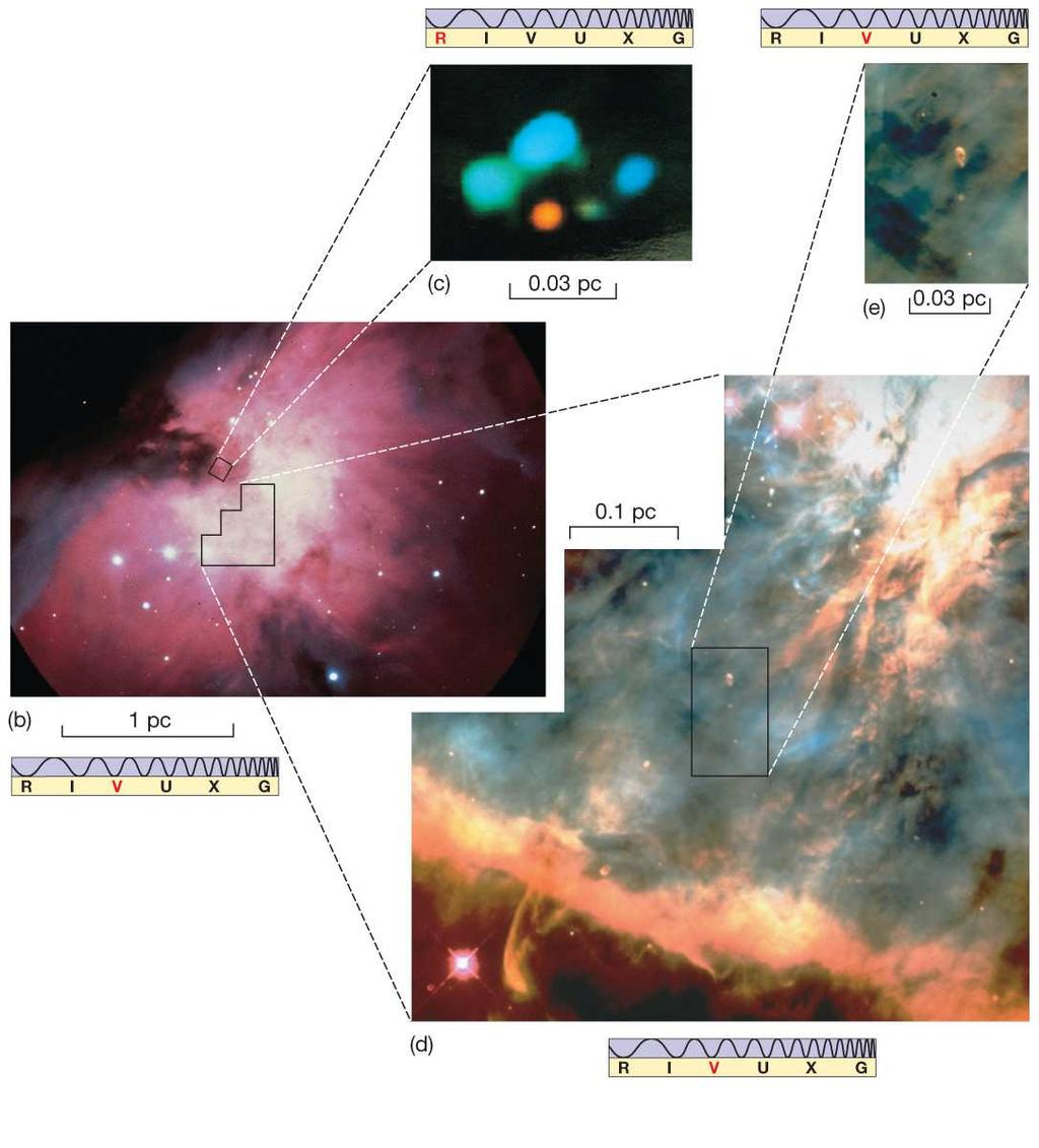 of s Like s of Other a Sun-like s More The Orion Nebula is thought to