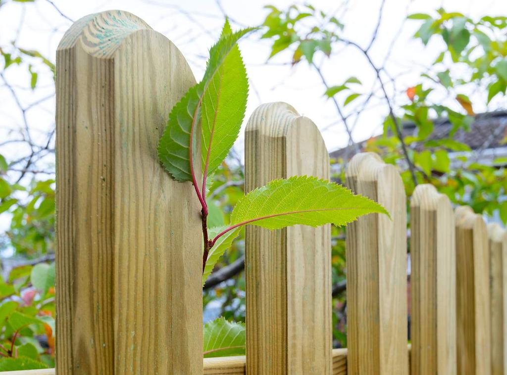 Munch The Munch picket fence has a profiled finish, perfect for creating a premium look on a classic design.