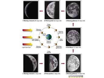 Phases of the Moon Eclipses Can occur only if the alignment is precise (Earth, Moon, and Sun line