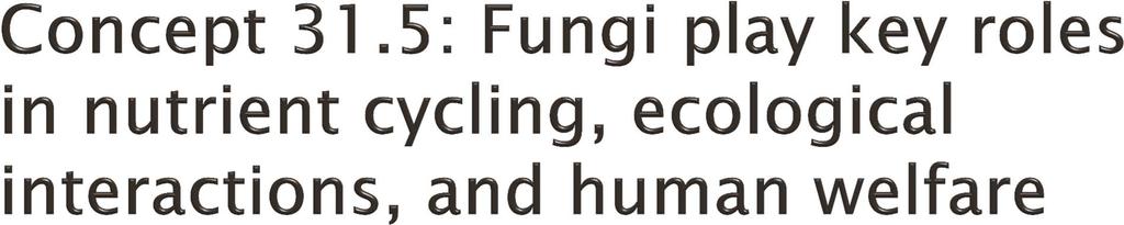 Fungi interact with other organisms as