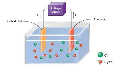 Electrolytic Cells - Cathode Cathode negative electrode Hydronium ions migrate to the cathode and are