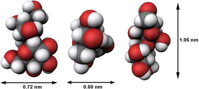 atom of oxygen Table sugar = C 12 H 22 O