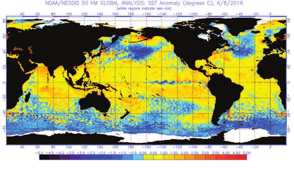 Upper panel: Latest Sea Surface Temperature anomalies, as of 6 June 2016. The sea ice around Antarctica is seen in white.
