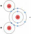 Covalent Bonds- force that holds two atoms together with shared electrons- most common bond Attraction of the