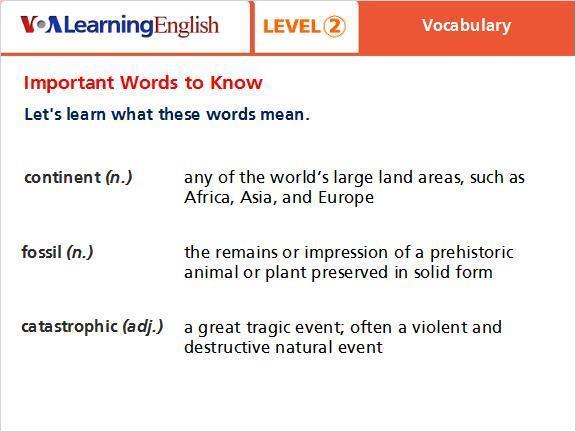 2. Vocabulary 6 learningenglish.
